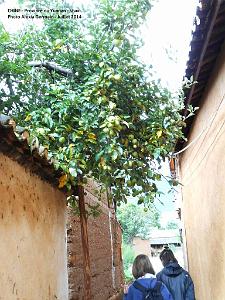 021 - Shaxi